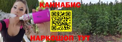 дживик Гатчина