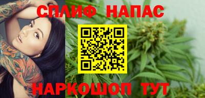 спиды Гагарин